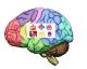 Fast Food Logos Found Imprinted On The Brain Of Kids 